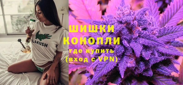 ПСИЛОЦИБИНОВЫЕ ГРИБЫ Верея