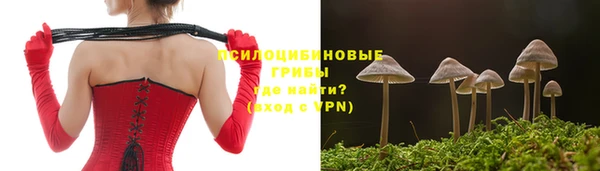 твердый Верхний Тагил