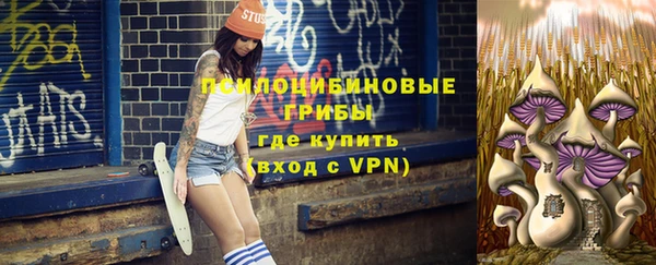 ПСИЛОЦИБИНОВЫЕ ГРИБЫ Верея