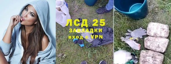 ПСИЛОЦИБИНОВЫЕ ГРИБЫ Верея