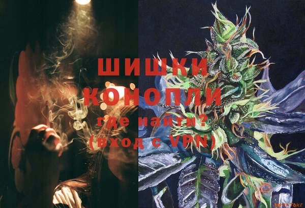 ПСИЛОЦИБИНОВЫЕ ГРИБЫ Верея