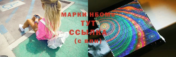 ПСИЛОЦИБИНОВЫЕ ГРИБЫ Верея