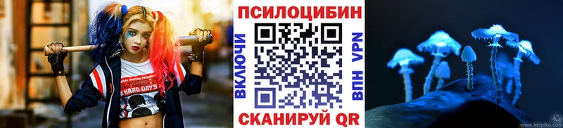 Псилоцибиновые грибы Magic Shrooms  Армавир 